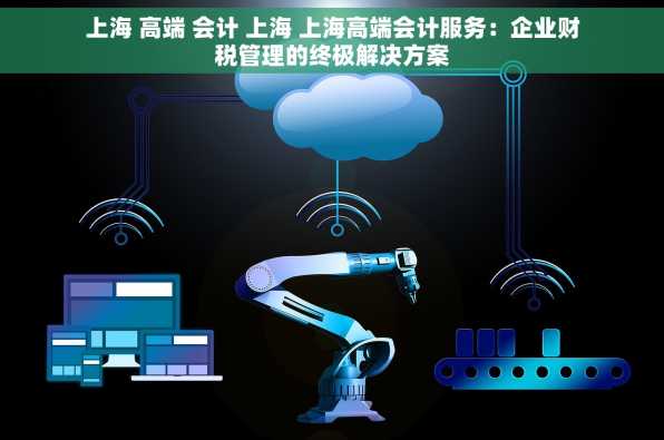 上海 高端 会计 上海 上海高端会计服务：企业财税管理的终极解决方案