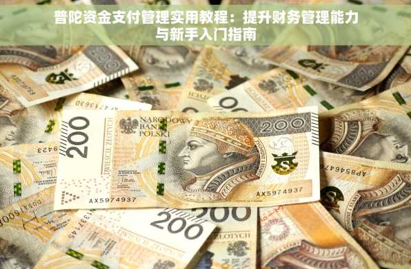 普陀资金支付管理实用教程：提升财务管理能力与新手入门指南