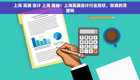 上海 高端 会计 上海 揭秘！上海高端会计行业现状，你真的清楚吗