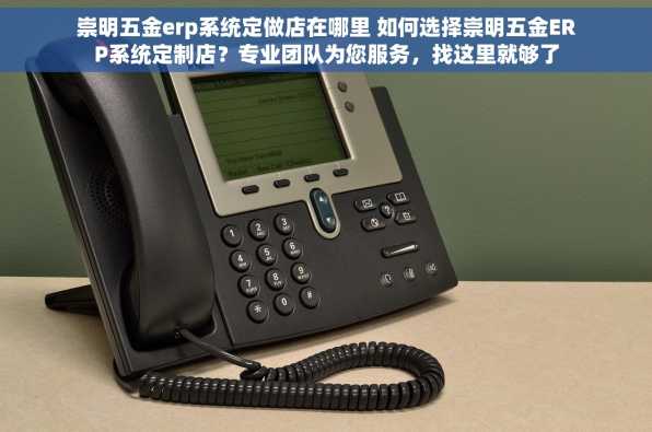 崇明五金erp系统定做店在哪里 如何选择崇明五金ERP系统定制店？专业团队为您服务，找这里就够了