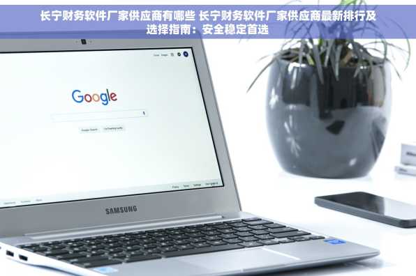 长宁财务软件厂家供应商有哪些 长宁财务软件厂家供应商最新排行及选择指南：安全稳定首选