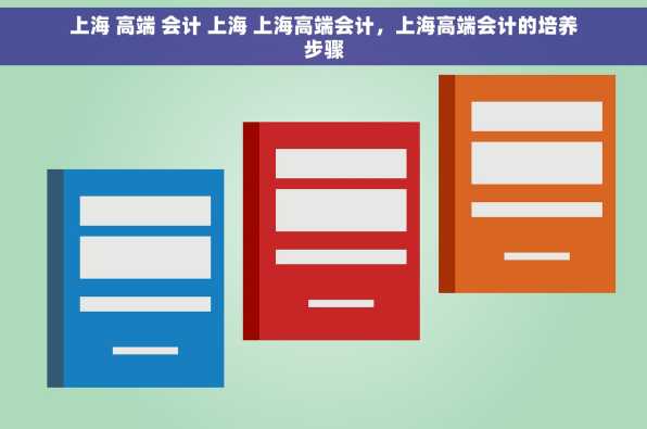 上海 高端 会计 上海 上海高端会计，上海高端会计的培养步骤