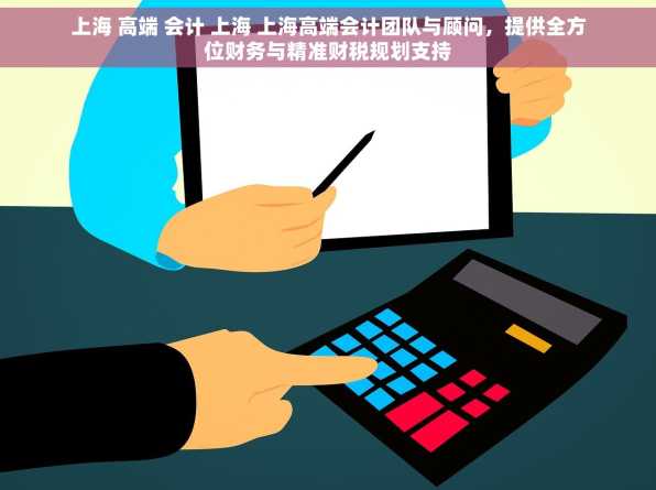 上海 高端 会计 上海 上海高端会计团队与顾问，提供全方位财务与精准财税规划支持