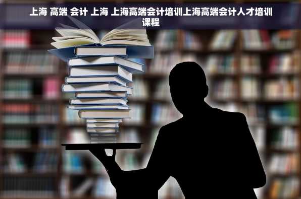 上海 高端 会计 上海 上海高端会计培训上海高端会计人才培训课程
