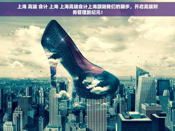 上海 高端 会计 上海 上海高端会计上海跟随我们的脚步，开启高端财务管理新纪元！