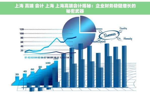 上海 高端 会计 上海 上海高端会计揭秘：企业财务稳健增长的秘密武器