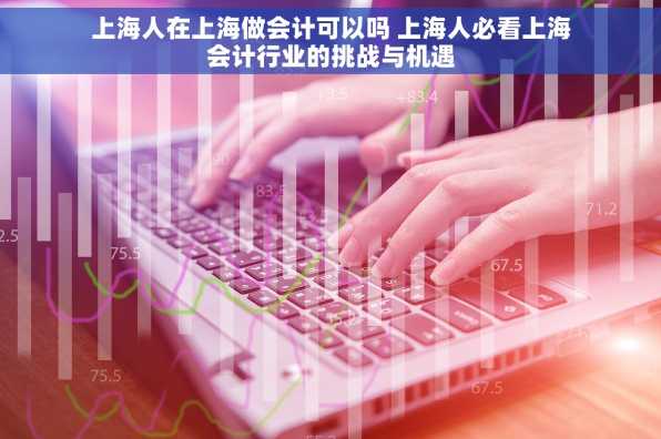 上海人在上海做会计可以吗 上海人必看上海会计行业的挑战与机遇