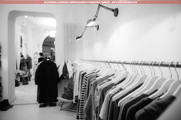 宝山好的服装erp有哪些品牌 深度解析宝山服装ERP市场现状及热门品牌推荐：商家不容错过的高效解决方案