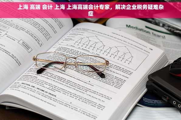 上海 高端 会计 上海 上海高端会计专家，解决企业税务疑难杂症