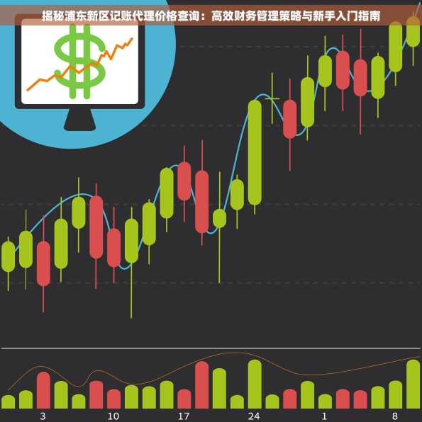 揭秘浦东新区记账代理价格查询：高效财务管理策略与新手入门指南