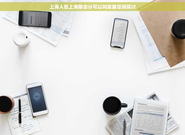 上海人在上海做会计可以吗发展空间探讨