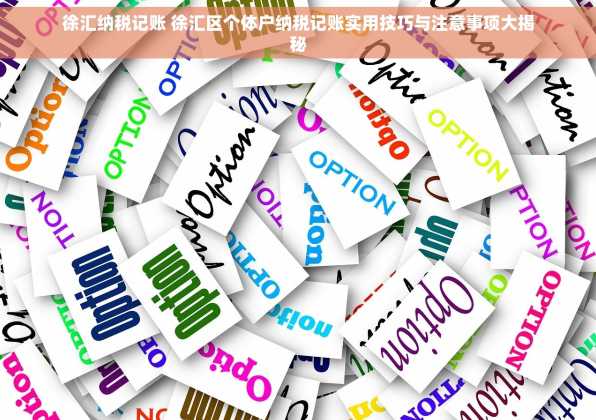 徐汇纳税记账 徐汇区个体户纳税记账实用技巧与注意事项大揭秘