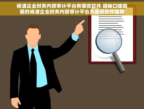 杨浦企业财务内部审计平台有哪些软件 揭秘口碑爆棚的杨浦企业财务内部审计平台及最新软件推荐