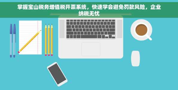 掌握宝山税务增值税开票系统，快速学会避免罚款风险，企业纳税无忧
