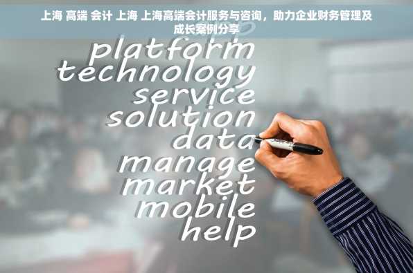 上海 高端 会计 上海 上海高端会计服务与咨询，助力企业财务管理及成长案例分享