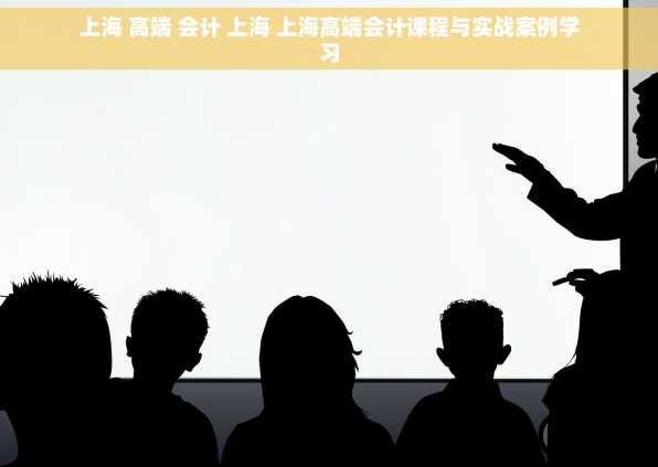 上海 高端 会计 上海 上海高端会计课程与实战案例学习