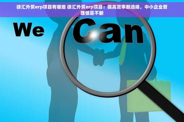 徐汇外贸erp项目有哪些 徐汇外贸erp项目：提高效率新选择，中小企业管理惊喜不断