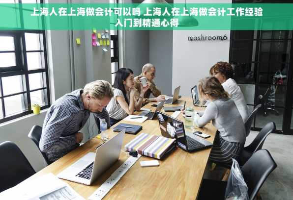 上海人在上海做会计可以吗 上海人在上海做会计工作经验入门到精通心得