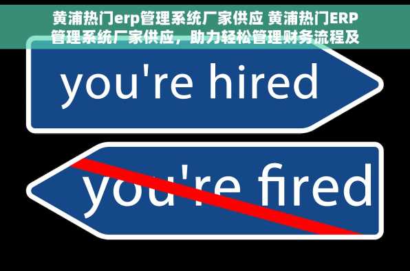 黄浦热门erp管理系统厂家供应 黄浦热门ERP管理系统厂家供应，助力轻松管理财务流程及解答常见问题