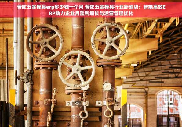 普陀五金模具erp多少钱一个月 普陀五金模具行业新趋势：智能高效ERP助力企业月盈利增长与运营管理优化
