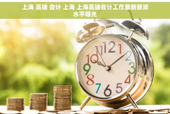 上海 高端 会计 上海 上海高端会计工作最新薪资水平曝光
