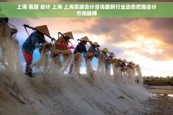 上海 高端 会计 上海 上海高端会计咨询最新行业动态把握会计市场脉搏