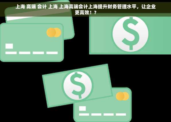 上海 高端 会计 上海 上海高端会计上海提升财务管理水平，让企业更高效！?