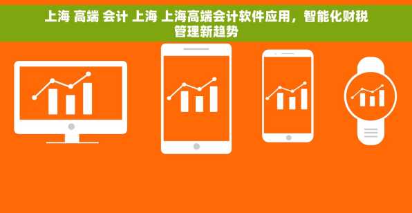上海 高端 会计 上海 上海高端会计软件应用，智能化财税管理新趋势