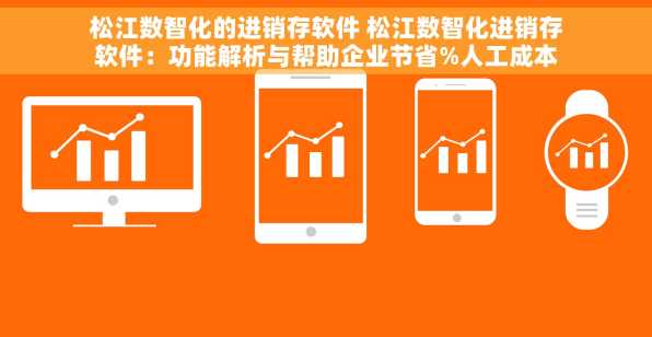 松江数智化的进销存软件 松江数智化进销存软件：功能解析与帮助企业节省%人工成本