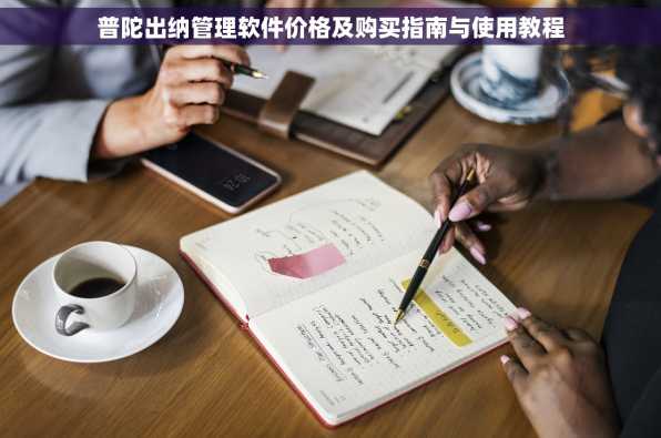普陀出纳管理软件价格及购买指南与使用教程