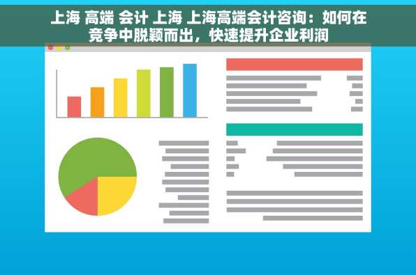 上海 高端 会计 上海 上海高端会计咨询：如何在竞争中脱颖而出，快速提升企业利润