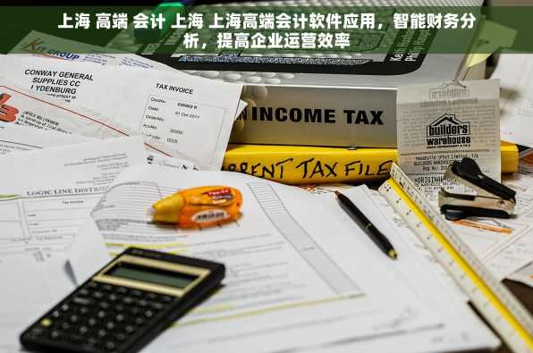 上海 高端 会计 上海 上海高端会计软件应用，智能财务分析，提高企业运营效率