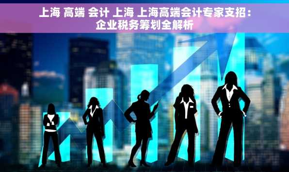 上海 高端 会计 上海 上海高端会计专家支招：企业税务筹划全解析