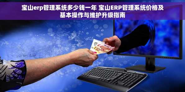 宝山erp管理系统多少钱一年 宝山ERP管理系统价格及基本操作与维护升级指南