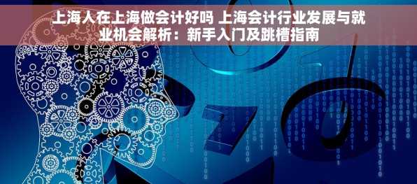 上海人在上海做会计好吗 上海会计行业发展与就业机会解析：新手入门及跳槽指南