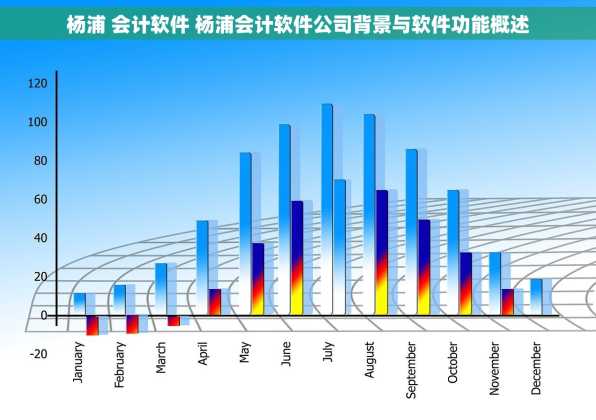 杨浦 会计软件 杨浦会计软件公司背景与软件功能概述
