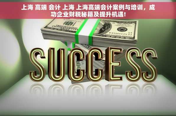 上海 高端 会计 上海 上海高端会计案例与培训，成功企业财税秘籍及提升机遇!