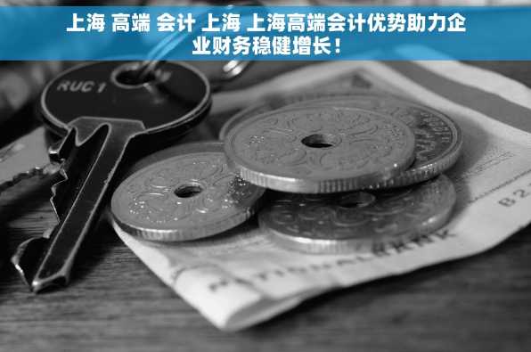 上海 高端 会计 上海 上海高端会计优势助力企业财务稳健增长！
