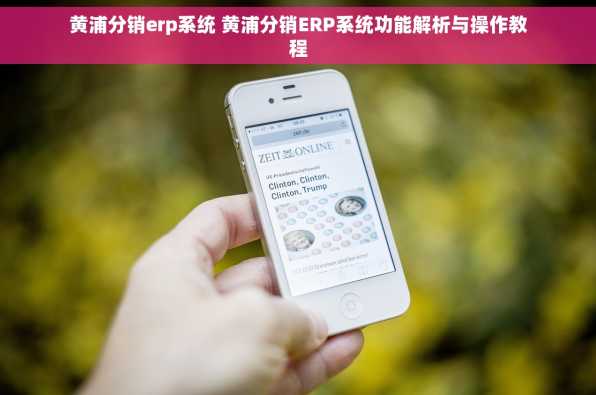 黄浦分销erp系统 黄浦分销ERP系统功能解析与操作教程