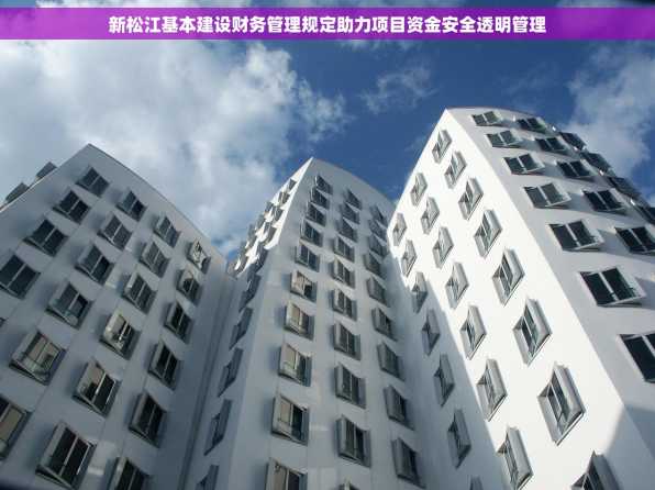 新松江基本建设财务管理规定助力项目资金安全透明管理