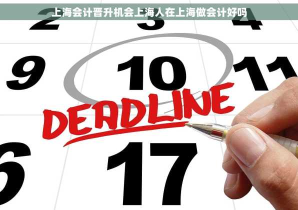 上海会计晋升机会上海人在上海做会计好吗