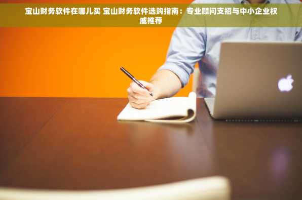 宝山财务软件在哪儿买 宝山财务软件选购指南：专业顾问支招与中小企业权威推荐