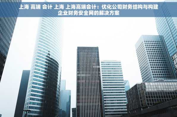 上海 高端 会计 上海 上海高端会计：优化公司财务结构与构建企业财务安全网的解决方案
