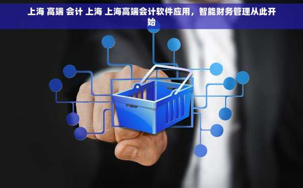 上海 高端 会计 上海 上海高端会计软件应用，智能财务管理从此开始