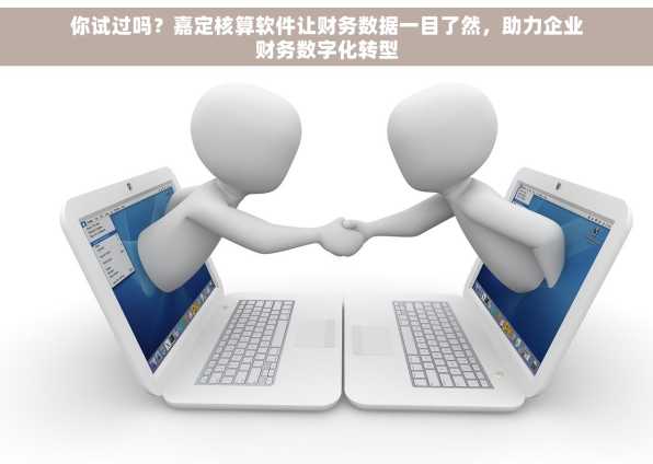 你试过吗？嘉定核算软件让财务数据一目了然，助力企业财务数字化转型