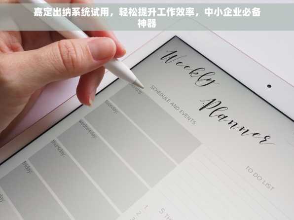 嘉定出纳系统试用，轻松提升工作效率，中小企业必备神器