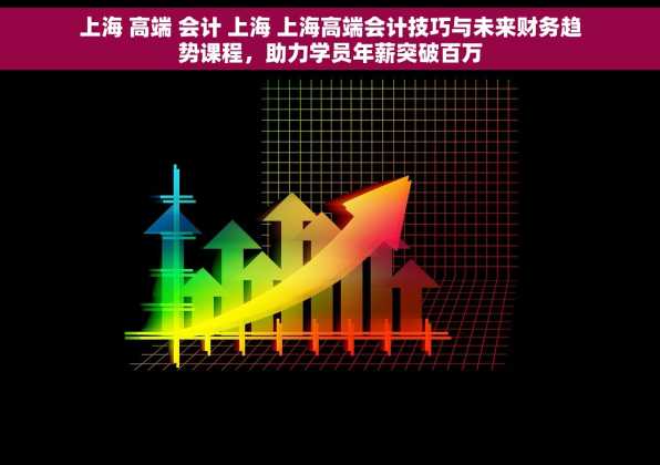 上海 高端 会计 上海 上海高端会计技巧与未来财务趋势课程，助力学员年薪突破百万