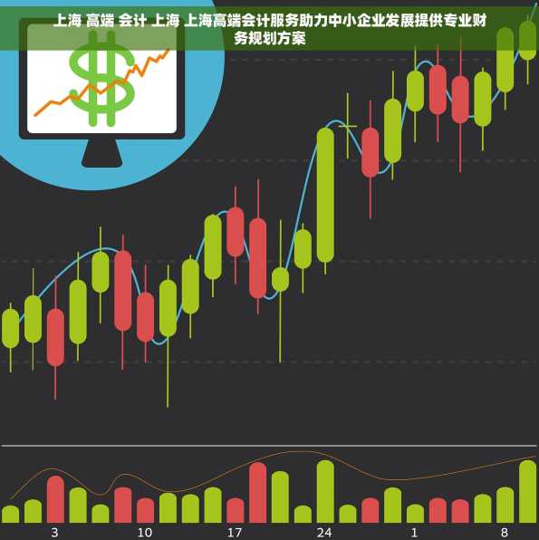 上海 高端 会计 上海 上海高端会计服务助力中小企业发展提供专业财务规划方案