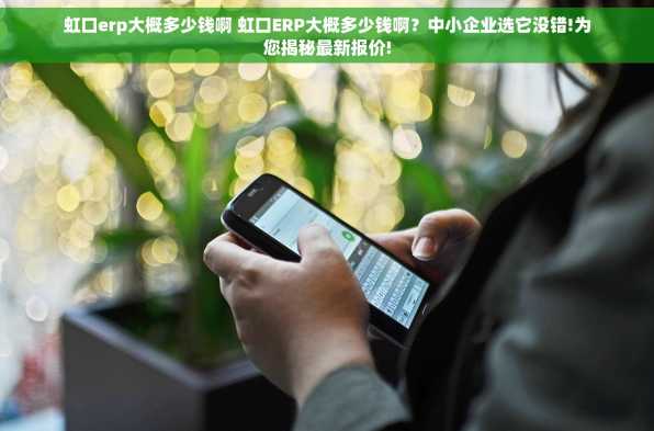 虹口erp大概多少钱啊 虹口ERP大概多少钱啊？中小企业选它没错!为您揭秘最新报价!