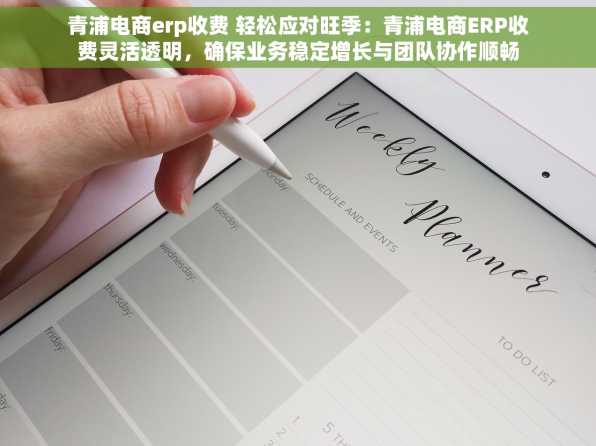 青浦电商erp收费 轻松应对旺季：青浦电商ERP收费灵活透明，确保业务稳定增长与团队协作顺畅
